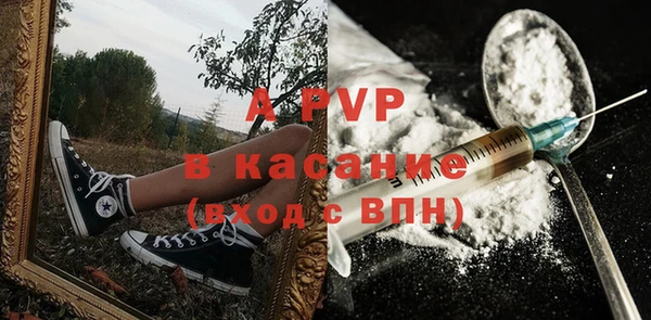 apvp Карпинск