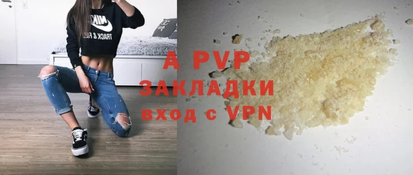 apvp Карпинск